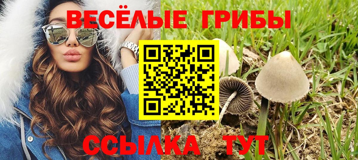 МДМА  Cocaine  Меф кристаллы  Вход с VPN  Alpha PVP СК   КЕТАМИН  Видное  Гашиш  МАРИХУАНА  Cocaine 