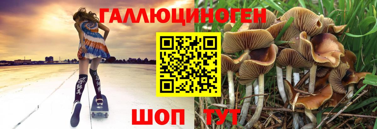 Галлюциногенные грибы прущие грибы Видное